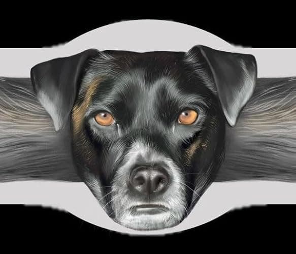 Hug-a-BooBoo Adorable Dog Bandages - Unique Rescue Dog Paintings! 24 Ct Mix (French Bulldog, Poodle, Lab) thumbnail 6