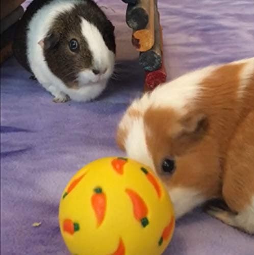 Wheeky Treat Ball Toy for Guinea Pigs, Rabbits, Hedgehogs and Other Small Pets, 7 cm, Yellow, Adjustable Opening Treat Toy New thumbnail 3