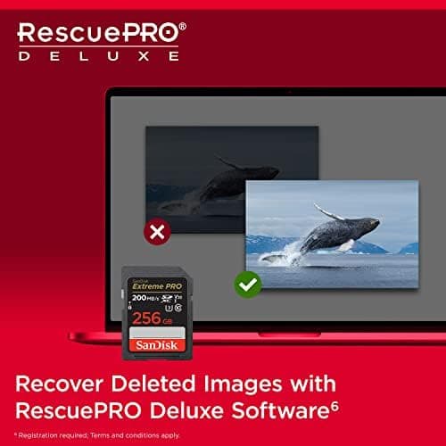SANDISK 256GB Extreme PRO SDXC UHS-I Memory Card - C10, U3, V30, 4K UHD, SD Card - SDSDXXD-256G-GN4IN thumbnail 6