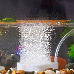 Rise Torrent Nano Air Stone with Case, Silent High-Oxygen Diffuser for Aquarium, Fish Tank & Hydroponics - 3 Inch White Small Bubble Diffuser Accessories (No Air Pump and Air Tube) - Image 1