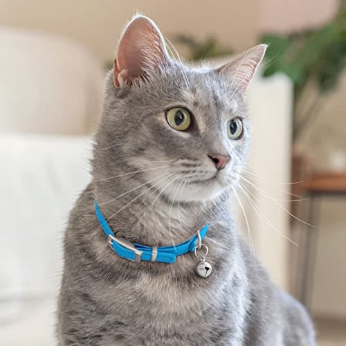 CollarDirect Leather Cat Collar with Removable Bell – Safety Elastic Strap (Breakaway Alternative) – Kitten Collar for Small & Big Boy & Girl Cats thumbnail 6