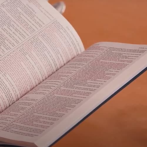 KJV Holy Bible: Gift and Award, Pink Leather-Look, Red Letter, Comfort Print: King James Version thumbnail 4