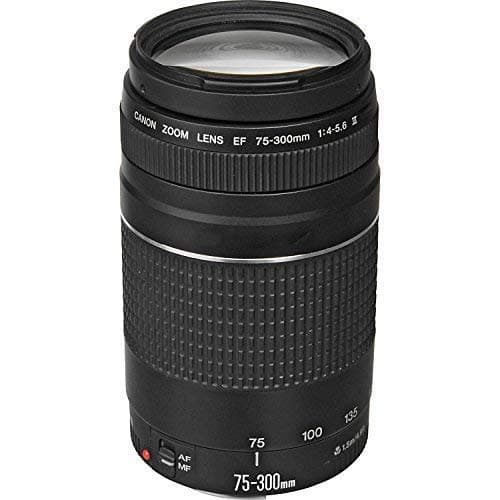 Canon EF 75-300mm f/4-5.6 III Telephoto Zoom Lens for Canon SLR Cameras, 6473A003 (Renewed) thumbnail 3