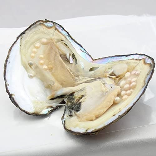 jessie Big Oysters with Plenty of Pearls Inside, 1 PC Cultured Freshwater Oyster Pearl for Jewelry Making or Birthday Gifts (5-7mm) thumbnail 5