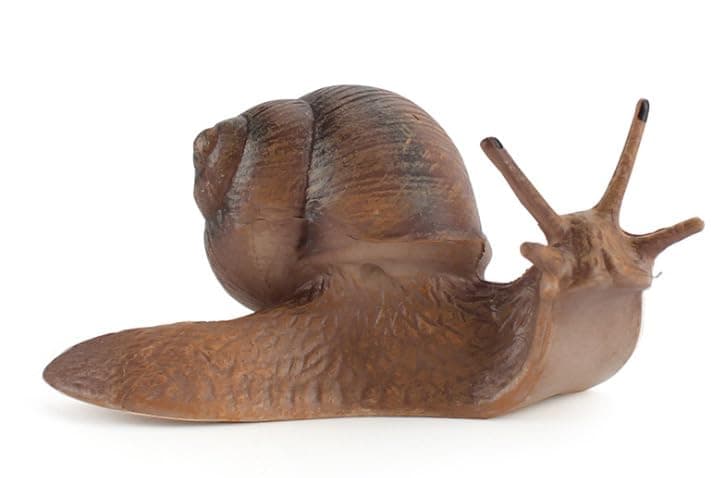 titihuirie 7 Pcs Snail Figurine Miniature Snail Model Realistic Animal Figurines Fairy Garden Micro Landscape Decor thumbnail 4
