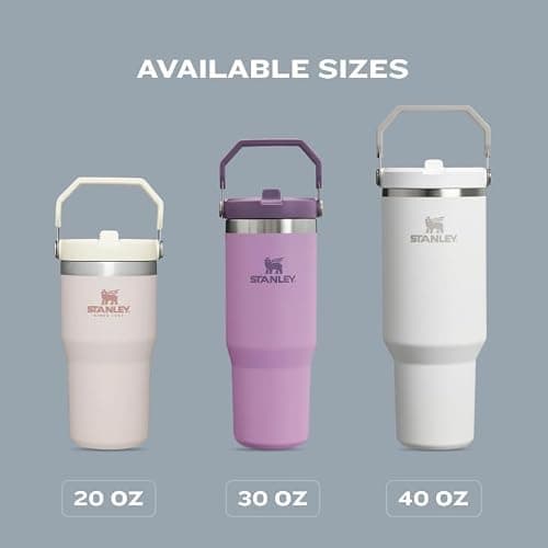 STANLEY IceFlow 2.0 Flip Straw Tumbler with Handle 30 oz | Twist On Lid and Flip Up Straw | Leakproof Water Bottle | Insulated Stainless Steel | BPA-Free | Pink Mesa thumbnail 8