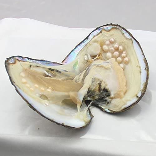 jessie Big Oysters with Plenty of Pearls Inside, 1 PC Cultured Freshwater Oyster Pearl for Jewelry Making or Birthday Gifts (5-7mm) thumbnail 6
