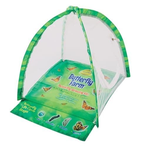 Insect Lore Butterfly Farm™  thumbnail 2