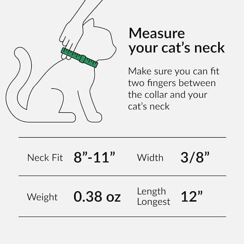 CollarDirect Leather Cat Collar with Removable Bell – Safety Elastic Strap (Breakaway Alternative) – Kitten Collar for Small & Big Boy & Girl Cats thumbnail 4