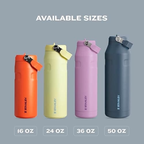 Stanley IceFlow Flip Straw 2.0 Water Bottle 24 oz | Built-In Straw for Travel and Sports | Lightweight and Leak Resistant | Insulated Stainless Steel | BPA-Free | Watermelon thumbnail 8