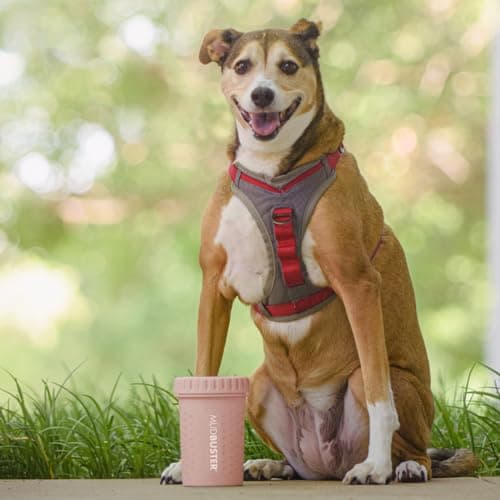 Dexas MudBuster Medium Dog Paw Cleaner, Blush, Fits 1.5"-2.5" Wide Paws, Gentle Silicone Bristles for Quick, Easy Cleaning thumbnail 7