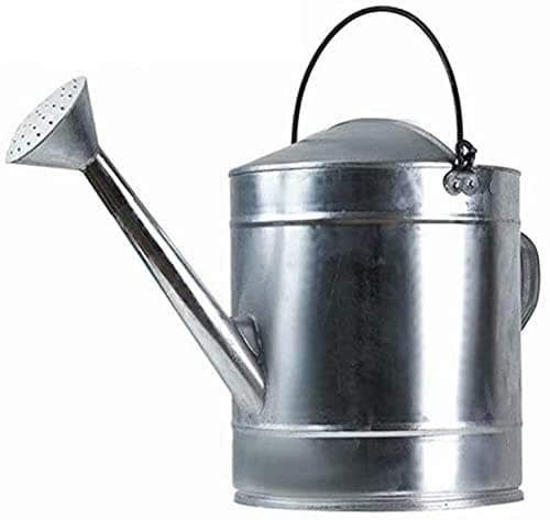 Watering Can, 15L Metal Watering Can Galvanized Iron Sheet Watering Can Large Capacity Watering Irrigation Garden Plant Flower Watering Bucket Gardening Watering Tool(25 * 25 * 28CM/15L) - Image 1