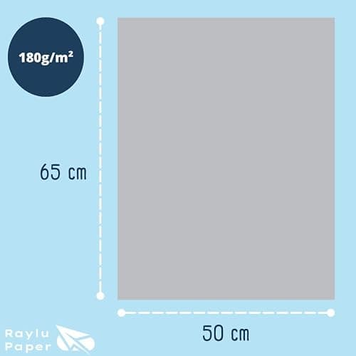 Raylu Paper – Papier Cartonné 50 x 65 cm Coloré, 25 Feuilles Cartonnées, Papier Epais de Couleur, pour l’Ecole, le Bureau, le Scrapbooking, les Activités Manuelles, 180g/m² (Gris Clair) thumbnail 3