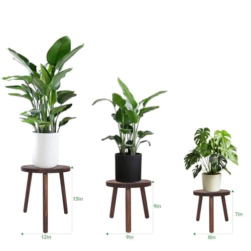 Amdermi 3 Pack Wood Plant Stands Indoor, Mid Century Modern Plant Stool for 6-12 Inch Pots, Tall Small Plant Stand Set for Living Room, Balcony, Office thumbnail 2