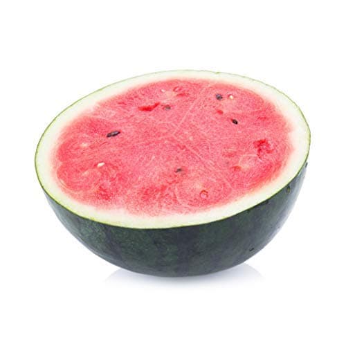 50 Sugar Baby Watermelon Seeds for Planting - Heirloom Non-GMO USA Grown Premium Fruit Seeds for Planting a Home Garden - Small Watermelon Citrullus Lanatus by RDR Seeds thumbnail 9
