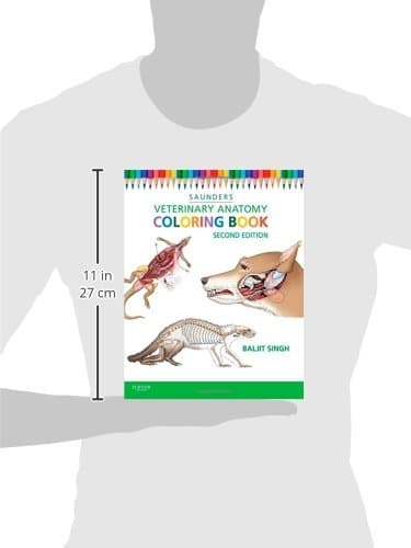 Veterinary Anatomy Coloring Book thumbnail 3