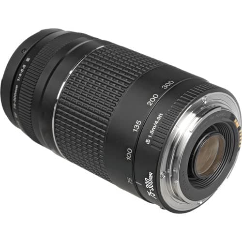 Canon EF 75-300mm f/4-5.6 III Lens | Compact Telephoto Zoom with Versatile Focal Range & Smooth Autofocus | Great for Sports, Wildlife, & Everyday Photography (6473A003) + Shoulder Bag + 64GB Card thumbnail 5