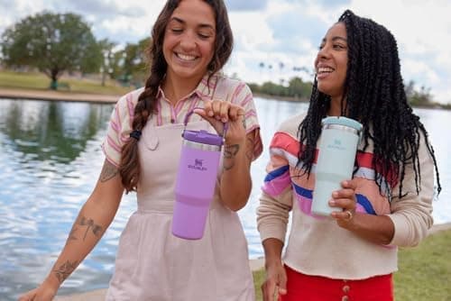 Stanley IceFlow Flip Straw Tumbler with Handle 30 oz | Twist On Lid and Flip Up Straw | Leak Resistant Water Bottle | Insulated Stainless Steel |BPA-Free | Mist - Mist - 30 Ounces thumbnail 2
