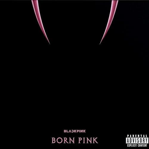 Born Pink - Image 1