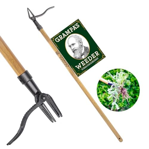 Grampa's Weeder - The Original Stand Up Weed Puller Tool with Long Handle - Made with Real Bamboo & 4-Claw Steel Head Design - Easily Remove Weeds Without Bending, Pulling, or Kneeling. - Image 1