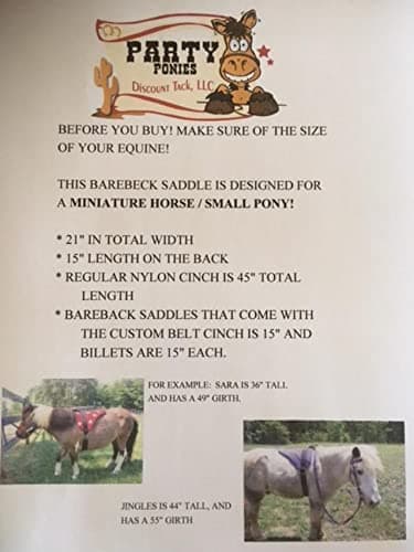 Party Ponies Miniature Horse/SM Pony Childrens Bareback Saddle PAD Set with BITLESS Bridle - Cinch Upgrade - Turquoise Indian Native Set thumbnail 5