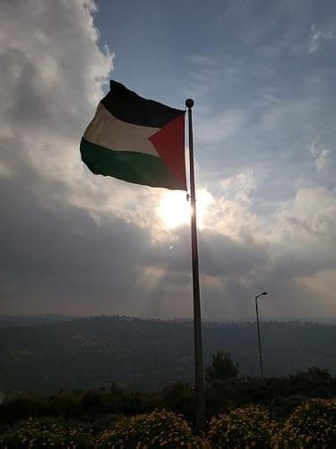 Palestinian flag 3x5 FT Palestine flag Polyester outdoor indoor Canvas Header and Double Stitched with two Brass Grommets thumbnail 2
