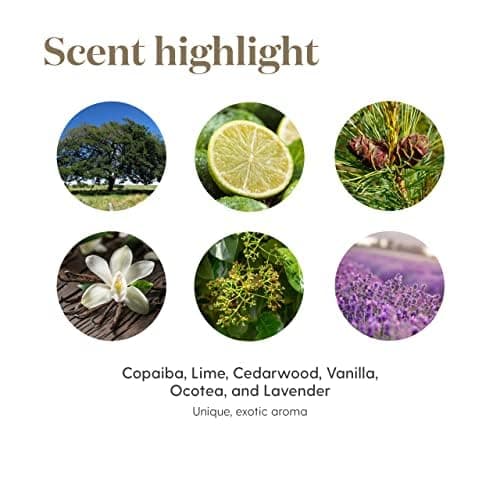 Young Living Stress Away Essential Oil Blend – 100% Pure, Vanilla-Lime Aroma, Diffuser & Topical Use, 5ml thumbnail 4