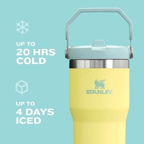 Stanley IceFlow Flip Straw Tumbler with Handle | Twist On Lid and Flip Up Straw | Leak Resistant Water Bottle | Insulated Stainless Steel | BPA-Free thumbnail 6