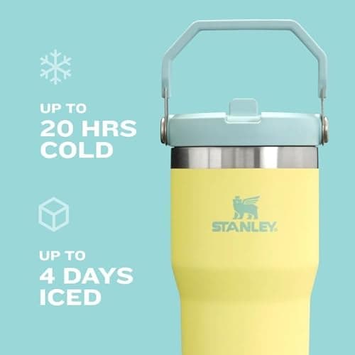 Stanley IceFlow 2.0 Flip Straw Tumbler with Handle 30 oz | Twist On Lid and Flip Up Straw | Leakproof Water Bottle | Insulated Stainless Steel | BPA-Free | Pink Mesa thumbnail 7