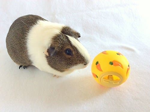 Wheeky Treat Ball Toy for Guinea Pigs, Rabbits, Hedgehogs and Other Small Pets, 7 cm, Yellow, Adjustable Opening Treat Toy New thumbnail 2