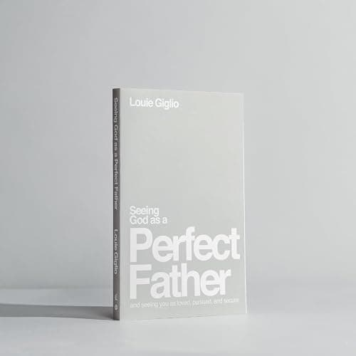 Seeing God as a Perfect Father: and Seeing You as Loved, Pursued, and Secure thumbnail 2