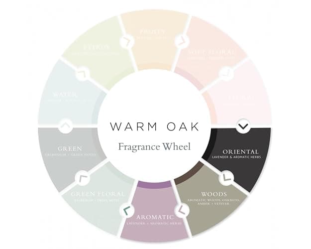 Gilchrist & Soames Warm Oak Luxury Candle (8oz), Grapefruit, Spice, and Cedar Wood - USA Poured, Coconut Oil and Soy Wax Blend, Cotton Wick thumbnail 4