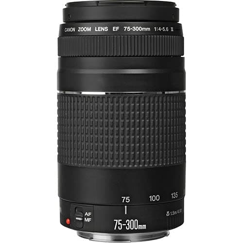 Canon EF 75-300mm f/4-5.6 III Lens | Compact Telephoto Zoom with Versatile Focal Range & Smooth Autofocus | Great for Sports, Wildlife, & Everyday Photography (6473A003) + Shoulder Bag + 64GB Card thumbnail 3