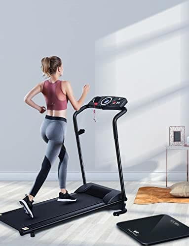 Digital Bathroom Scales for Body Weight, Weight Scale with High Precision Sensors Accurate Round Corner Design LED Display 400lbs/180kg thumbnail 4