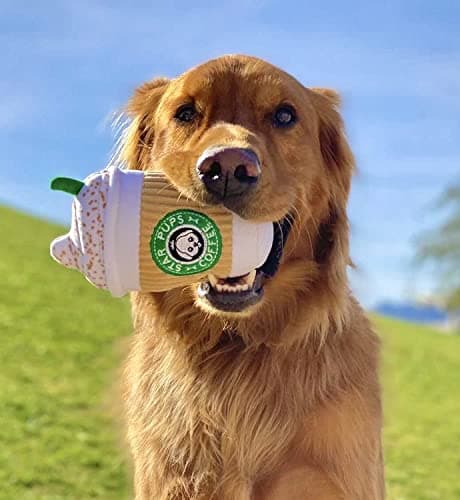 Nestpark Parody Star Pups Coffee Dog Toy Pup'kin Spice Latte - Funny Plush Squeaky Crinkle Dog Toys for Medium, Small and Large for Dog Birthday thumbnail 3