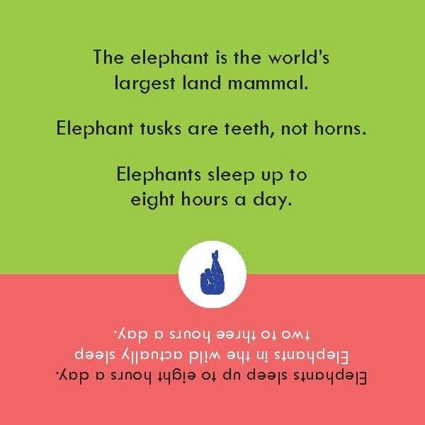 After Dinner Amusements: Odd Fact Out: 50 Fun Scenarios for Family and Friends thumbnail 7