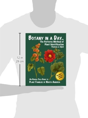 Botany in a Day: The Patterns Method of Plant Identification thumbnail 10