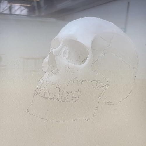 NeoLucida Plus - a Modern Camera lucida Drawing Tool Lets You Trace What You See. thumbnail 6