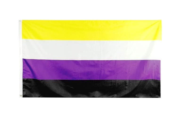 Flaglink Nonbinary Pride Flag 3x5Fts - LGBTQIA Non Binary NB Gender Rainbow Banner