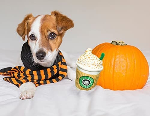 Nestpark Parody Star Pups Coffee Dog Toy Pup'kin Spice Latte - Funny Plush Squeaky Crinkle Dog Toys for Medium, Small and Large for Dog Birthday thumbnail 5