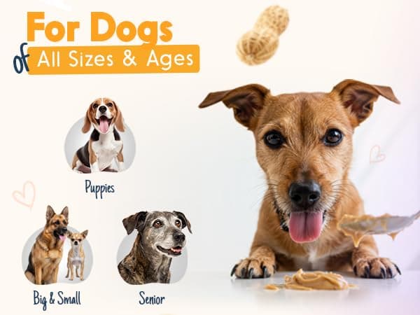 BUDDY BUDDER Barkin Banana + Pumpkin Pup, 100% All Natural Dog Peanut Butter, Peanut Butter Dog Treat, Made in USA (Set of 2 | 17oz ea) thumbnail 5