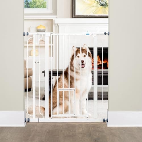 Carlson Extra Tall Walk Through Pet Gate with Small Pet Door, Includes 4-Inch Extension Kit, 4 Pack Pressure Mount Kit and 4 Pack Wall Mount Kit - Image 1