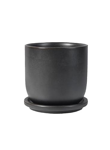 Serene Spaces Living Matte Black Ceramic Pot