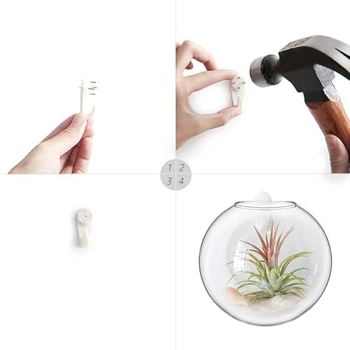 Mkono Wall Hanging Planter Propagation Station Glass Flower Vase for Hydroponics Plants, Bathroom, Home Office Living Room Decor Gift, Oblate Set of 3 thumbnail 6