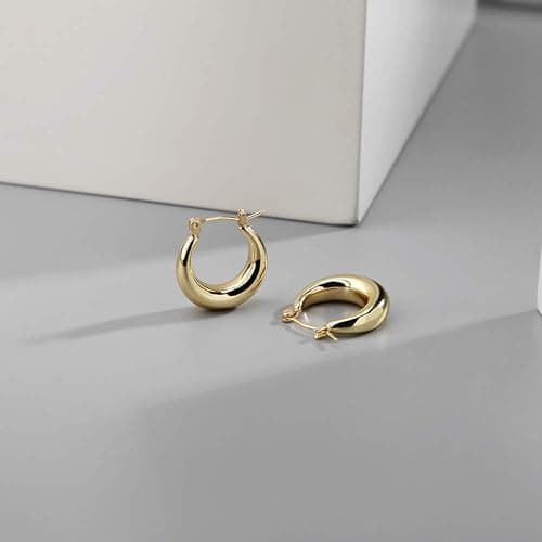 LILIE&WHITE Chunky Gold Hoop Earrings for Women Cute Fashion Hypoallergenic earrings Minimalist Jewelry Gift thumbnail 4