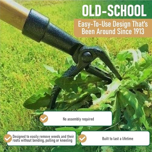 Grampa's Weeder - The Original Stand Up Weed Puller Tool with Long Handle - Made with Real Bamboo & 4-Claw Steel Head Design - Easily Remove Weeds Without Bending, Pulling, or Kneeling. thumbnail 3