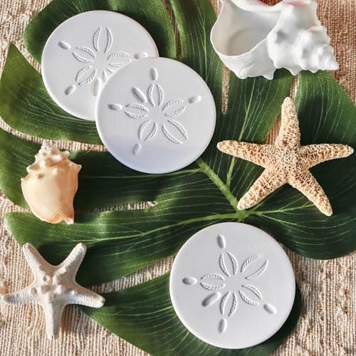 Sand Dollar Coasters thumbnail 3