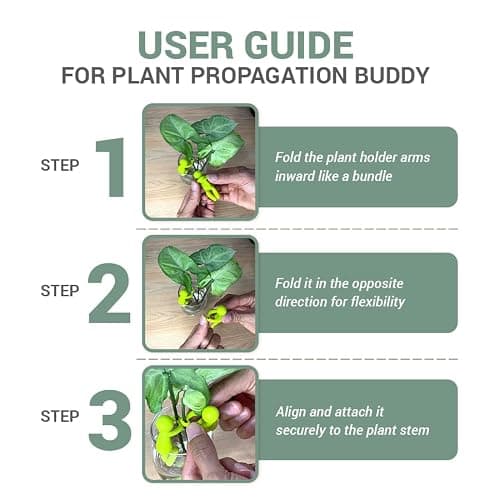 Famiphotogifts Plant Propagation Buddy – Plant Cutting Holders for Sprouts, Stems & Shoots, Cute & Sturdy Plant Supports for Indoor Gardens & Propagation Stations, for Plant Lovers (Multicolor) thumbnail 8
