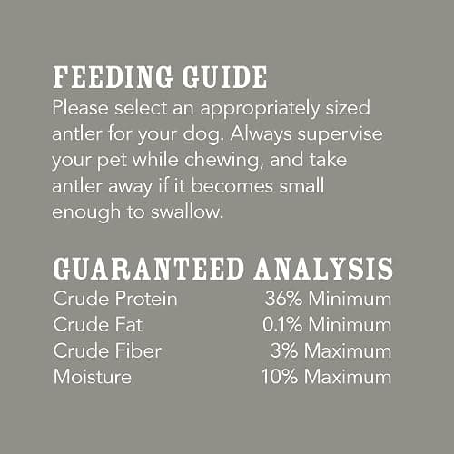 Amazon Brand - Wag Dog Deer Antler Chew, Naturally Shed, Whole, Large 8-9.5 inches, Long Lasting for Aggressive Chewers, Best for Dogs 30-45 lbs, 3.20 Ounce (Pack of 1) thumbnail 4
