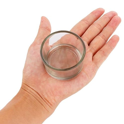 2 Pcs Hamster Food and Water Bowl Glass Anti-Turning Transparent Dish for Hamster and Other Small Pet thumbnail 5